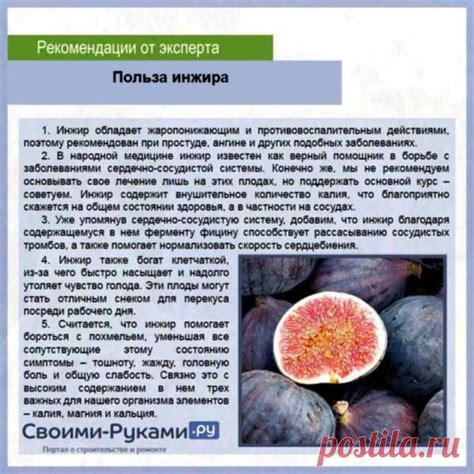 Профилактика и борьба с болезнями инжира: секреты здоровья растения