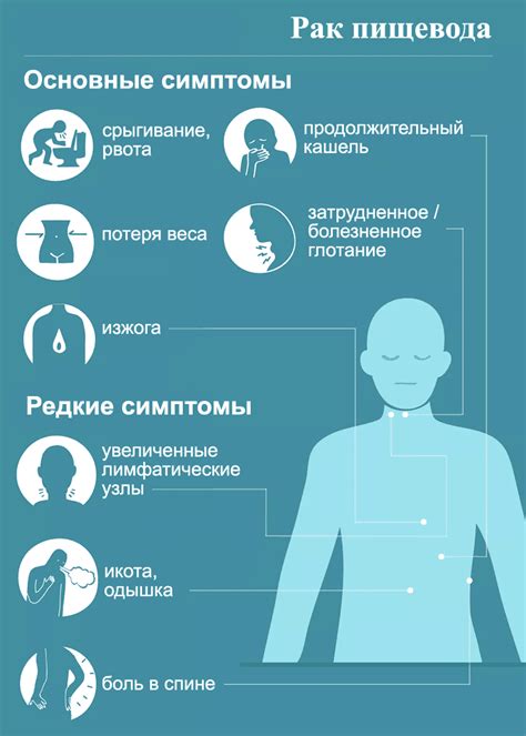 Профилактика и меры предосторожности