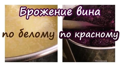 Процесс брожения