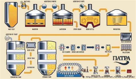 Процесс варки пива