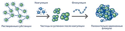 Процесс коагуляции и сгустка