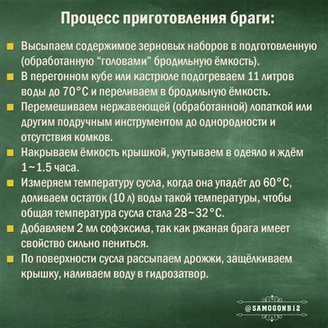 Процесс приготовления браги