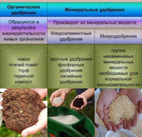 Процесс разбавления и применение в виде удобрения