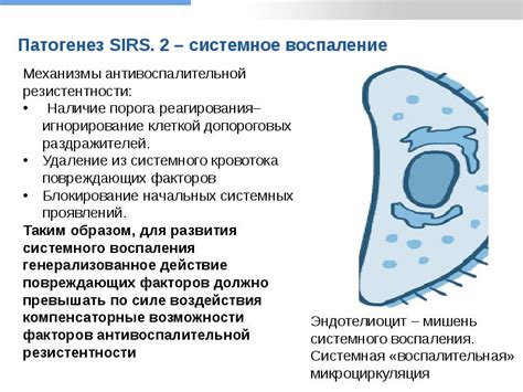 Проявление реакции "белого пятна"