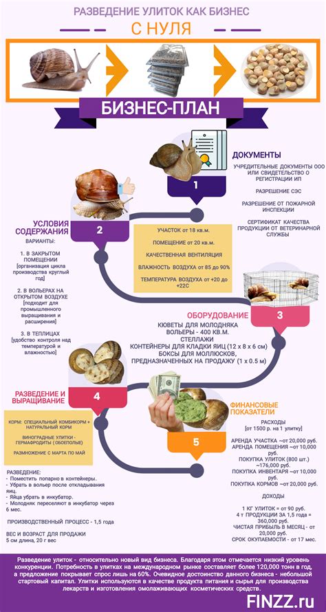 Разведение жителей: пошаговая инструкция