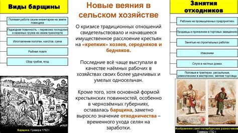 Развитие лингвистики в XIX веке