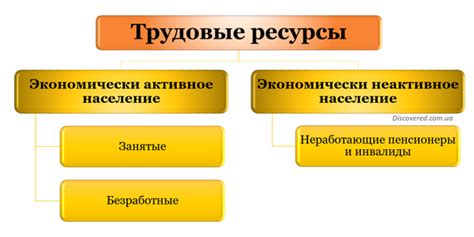 Разделение трудовых ресурсов и обязанностей