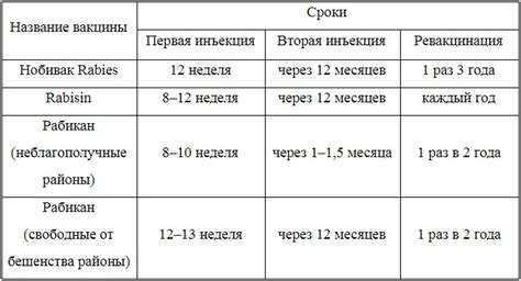 Раздел 2: Процесс вакцинации от бешенства