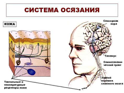 Раздражение и отвлечение