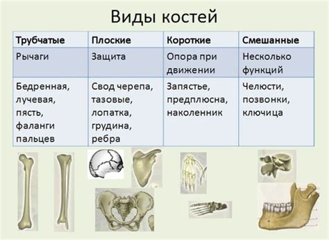 Различные виды заражений