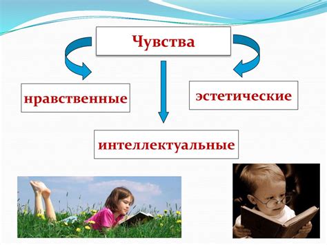 Различные потребности и внимание