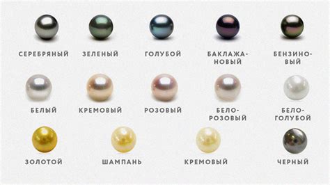 Разновидности черного жемчуга: оттенки и формы