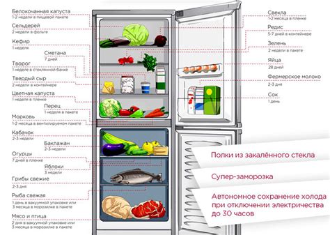 Расстановка продуктов в холодильнике