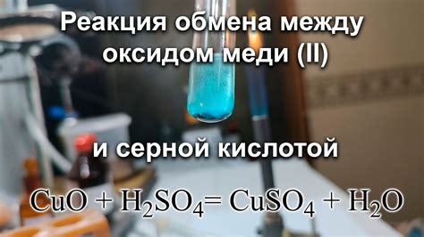 Реакция соляной кислоты с оксидом меди (II): обзор и механизм