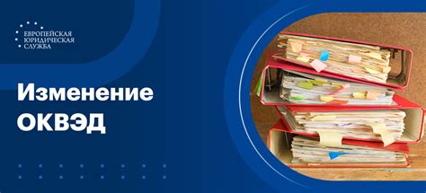 Регистрация ИП и выбор основного вида деятельности