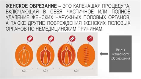 Регулярное обрезание и формирование