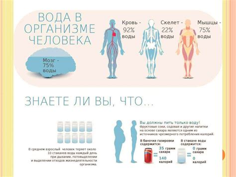 Регуляция водного баланса в организме при ВСД