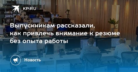 Резюме без опыта: как привлечь внимание