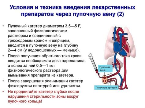 Рекомендации педиатров