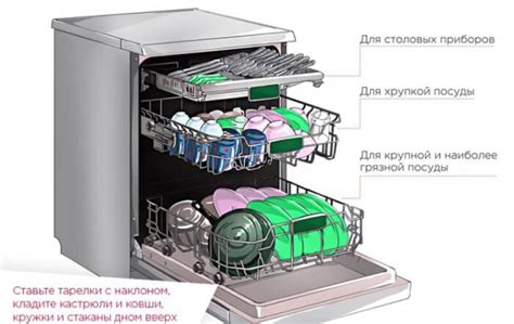 Рекомендации по правильной загрузке овощей в посудомоечную машину