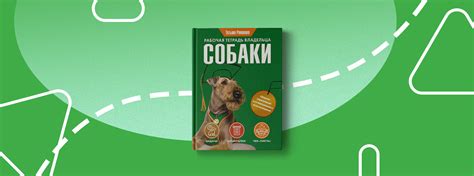 Рекомендации по уходу за собакой в общежитии