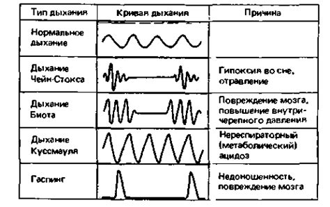 Ритм дыхания