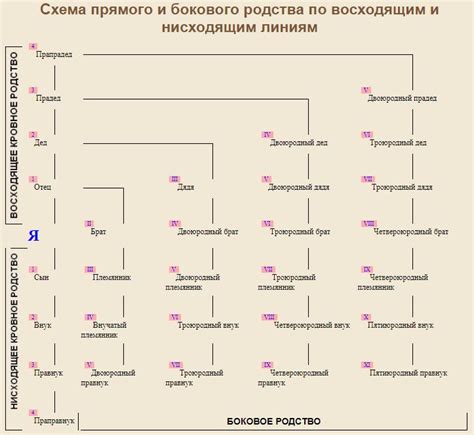 Родственные связи и правовой статус