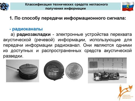 Роликовые шрифты и брайль: специальные способы получения информации