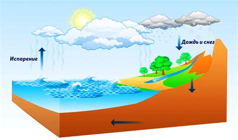 Роль воды в смывном процессе