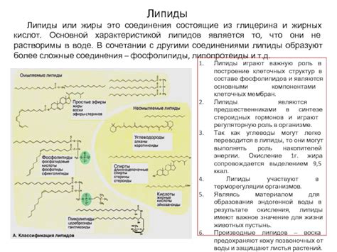 Роль глицерина в составе липидов