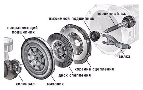 Роль масла в работе сцепления