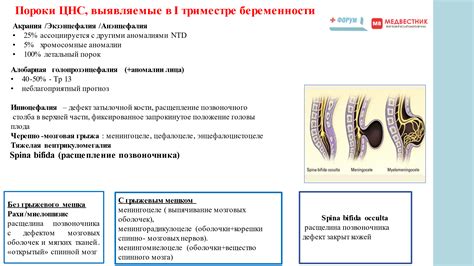 Роль фолиевой кислоты в третьем триместре