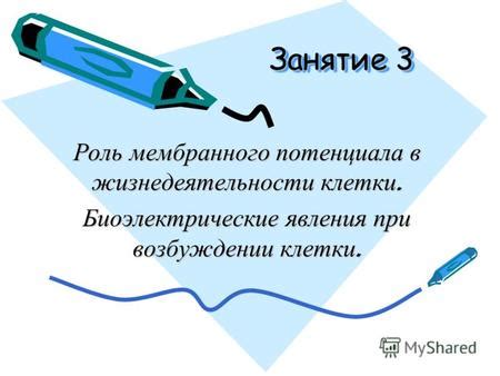 Роль целования в возбуждении