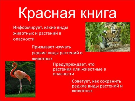 Сведения о касатке в красной книге