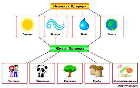 Связь с природой и водными элементами