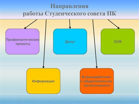 Секция как форма организации досуга