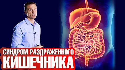 Семечки: польза и вред при синдроме раздраженного кишечника