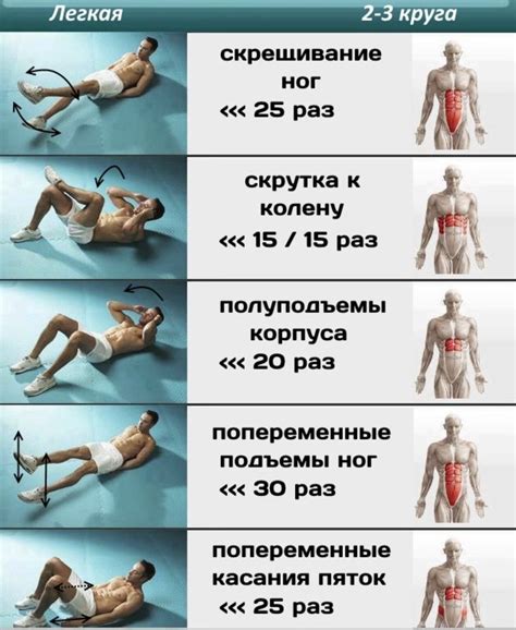 Силовые тренировки для развития пресса