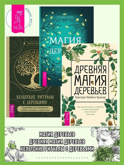 Символика псалмов и их значение в духовной практике