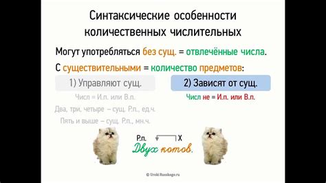 Синтаксические особенности наречий-подлежащих