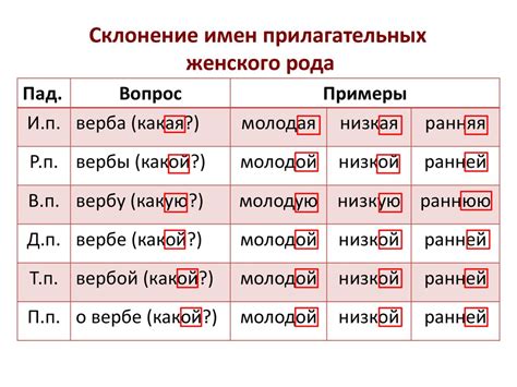 Склонение фамилии Гаркуша в женском роде: исключения