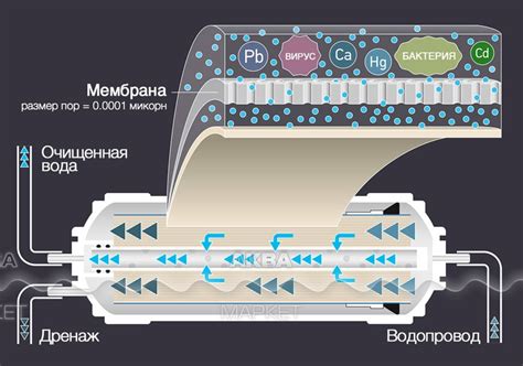 Сколько раз нужно менять мембрану обратного осмоса аквафор