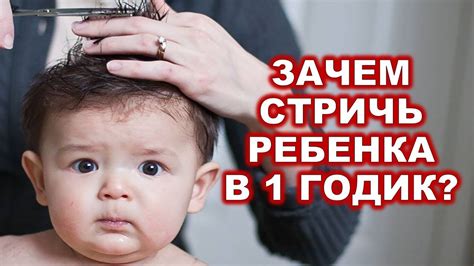 Сколько раз нужно стричь ребенка в год?