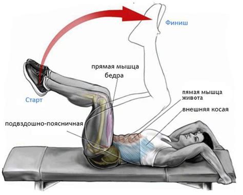 Скручивания: основное упражнение для пресса