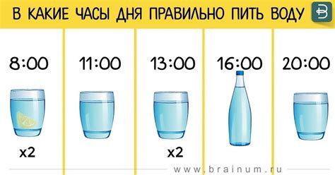 Слива: выберите подходящее время суток для ее употребления