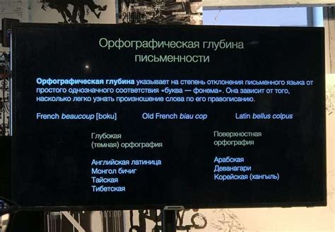 Слово и самоосознание: как язык определяет нашу идентичность