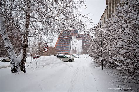 Снег в Новосибирске