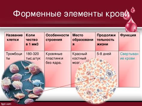 Снижение образования крови