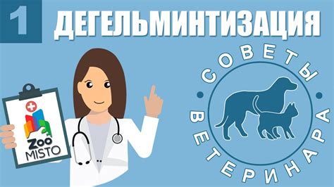 Советы ветеринара по безопасному лечению глистов
