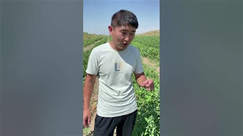 Советы для эффективной борьбы